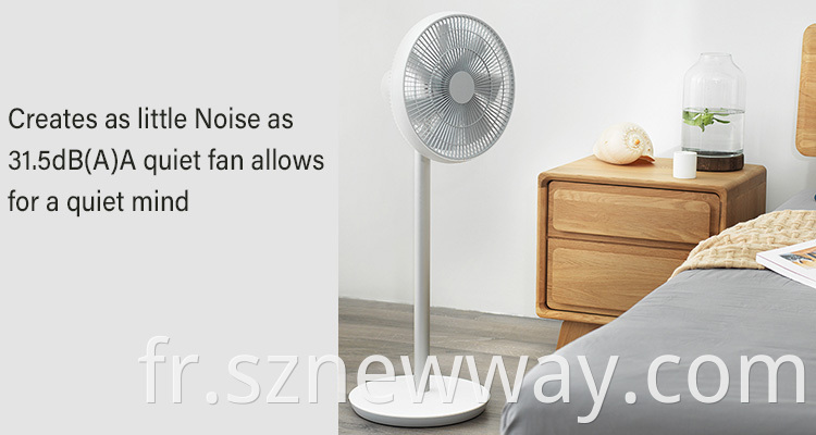 Xiaomi Smart Fan 2s